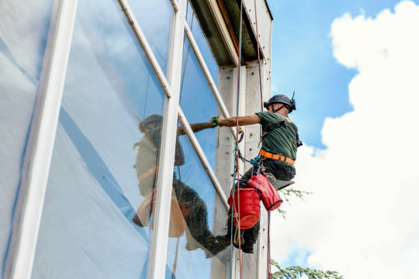 Best Window Glass Replacement  in Honolulu, HI